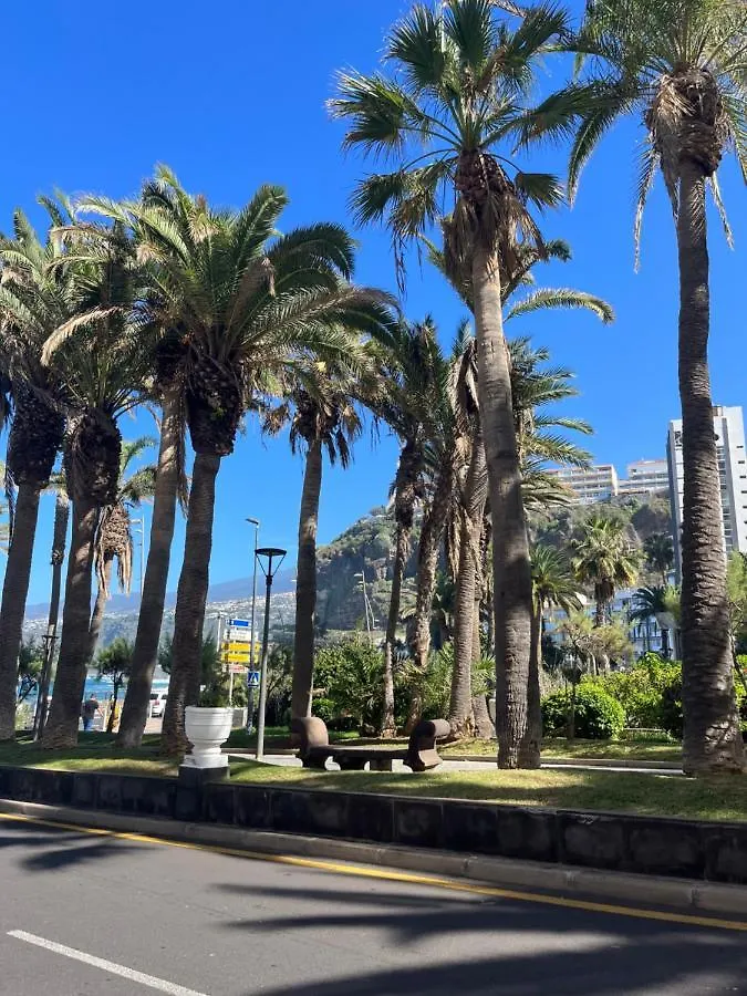 Estudio-Szl Puerto de la Cruz  Spain